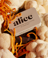 Brainstorm — Mushroom Chocolates for Focus