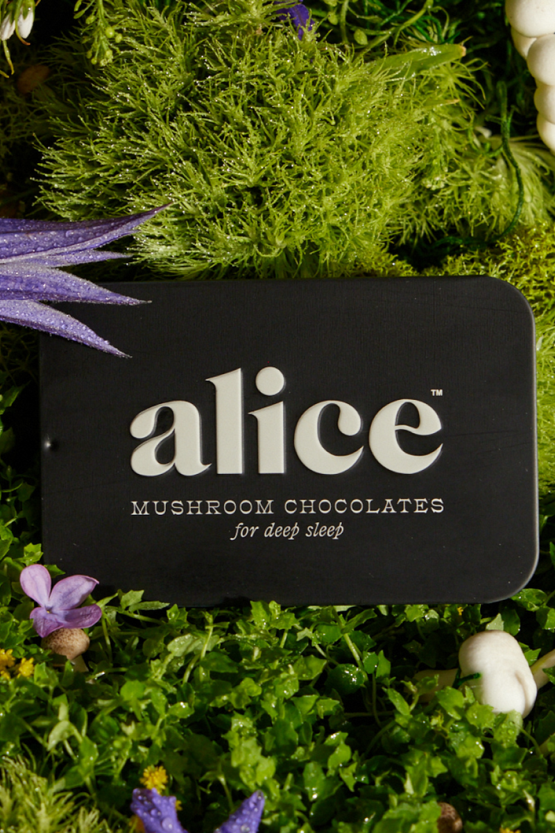 Nightcap — Mushroom Chocolates for Deep Sleep