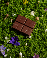 Nightcap — Mushroom Chocolates for Deep Sleep