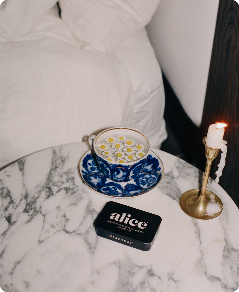 Nightcap — Mushroom Chocolates for Deep Sleep